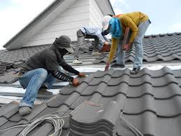 Best Sheet Metal Roofing  in Montrose, MN